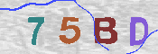 CAPTCHA-Bild