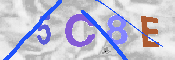 CAPTCHA-Bild