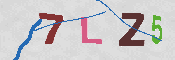 CAPTCHA-Bild