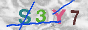 CAPTCHA-Bild