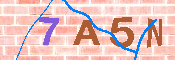 CAPTCHA-Bild
