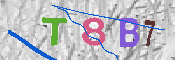 CAPTCHA-Bild