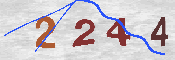 CAPTCHA-Bild