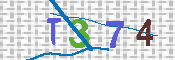 CAPTCHA-Bild