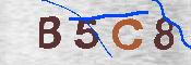 CAPTCHA-Bild