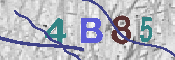 CAPTCHA-Bild