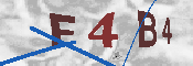 CAPTCHA-Bild