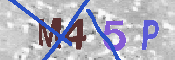 CAPTCHA-Bild