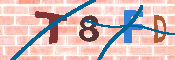 CAPTCHA-Bild