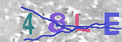 CAPTCHA-Bild