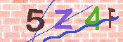 CAPTCHA-Bild