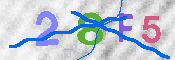 CAPTCHA-Bild