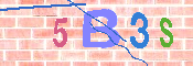 CAPTCHA-Bild