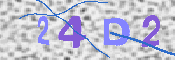 CAPTCHA-Bild