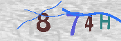 CAPTCHA-Bild