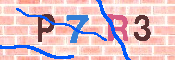 CAPTCHA-Bild