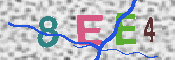 CAPTCHA-Bild
