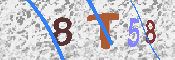 CAPTCHA-Bild