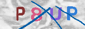 CAPTCHA-Bild