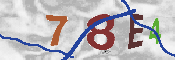 CAPTCHA-Bild