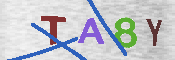 CAPTCHA-Bild