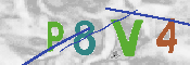 CAPTCHA-Bild