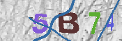 CAPTCHA-Bild