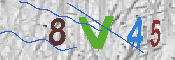 CAPTCHA-Bild