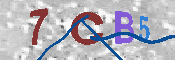 CAPTCHA-Bild
