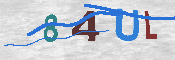 CAPTCHA-Bild