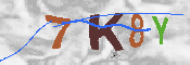 CAPTCHA-Bild