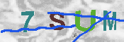 CAPTCHA-Bild