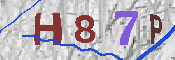 CAPTCHA-Bild
