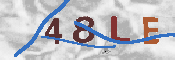 CAPTCHA-Bild