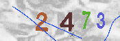 CAPTCHA-Bild