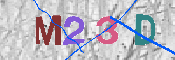 CAPTCHA-Bild
