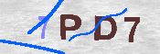 CAPTCHA-Bild