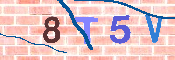 CAPTCHA-Bild