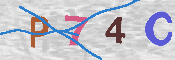 CAPTCHA-Bild