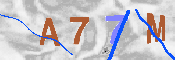 CAPTCHA-Bild