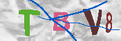 CAPTCHA-Bild