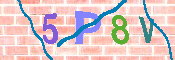 CAPTCHA-Bild