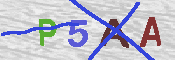 CAPTCHA-Bild