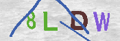 CAPTCHA-Bild