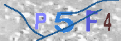 CAPTCHA-Bild