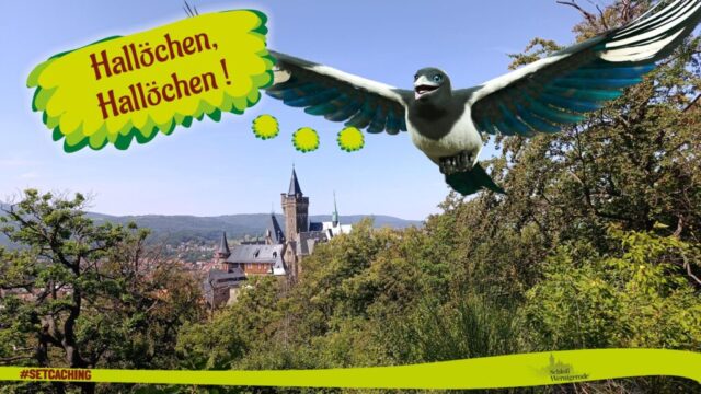 Möglichkeiten der Set-Camera ...